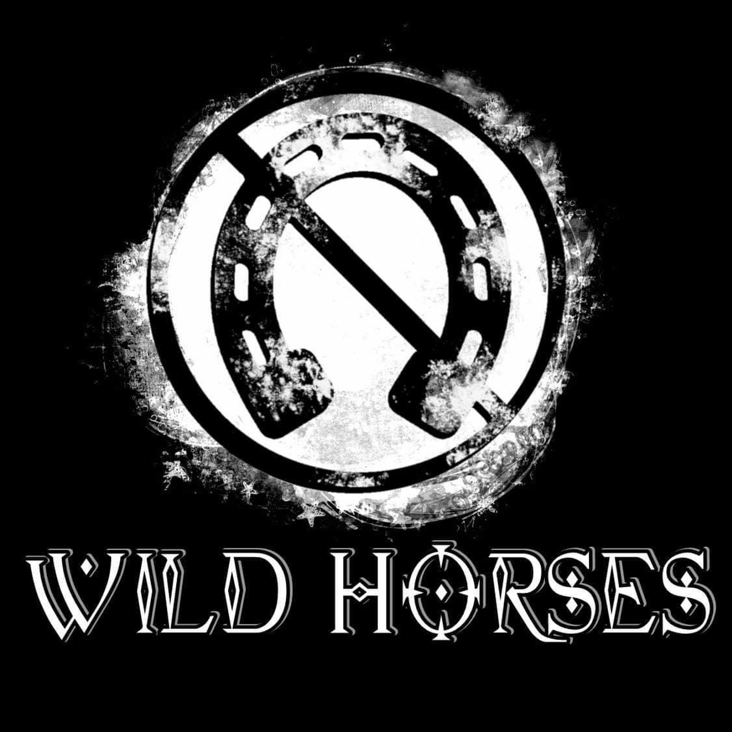 Harry Blotter - Psytrance & Forest Session @ Wild Horses Festival DEC 2018 thumbnail