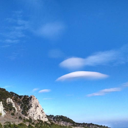 RASA - Kavabanga Depo Kolibri - Витамин