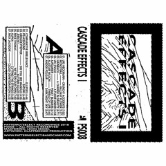 PS008 [Premiere] || Cascade Effects I || Gregor Pfeffer || Did You See Manolo