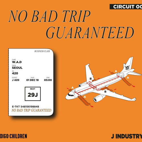 NO BAD TRIP GUARANTEED (Original Mix)