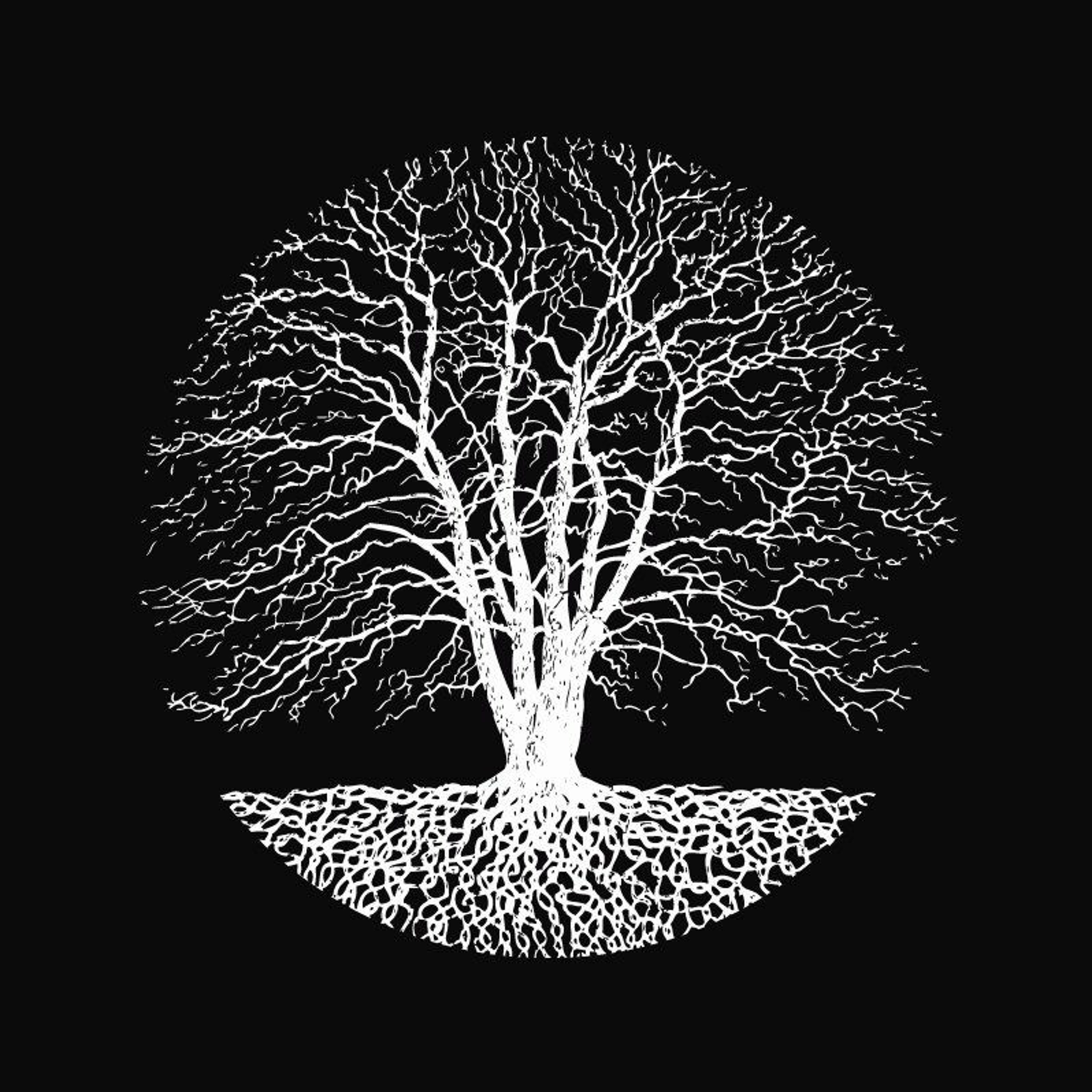 MNMT Label Showcase: Silent Season