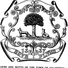 Sour Plums O' Galashiels