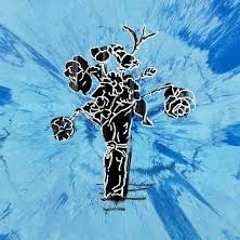 Supermarket Flowers - Ed Sheeran (cover)