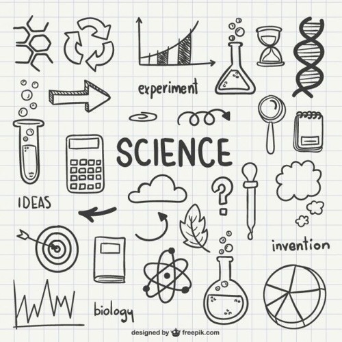 Lazy Ann - Science