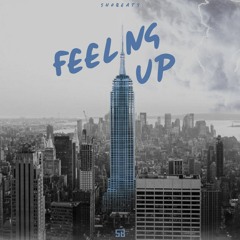 SHOBEATS - FEELING UP (Preview)