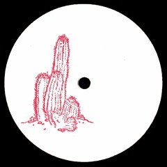 Premiere: Slim Steve 'Return Of The Computer'