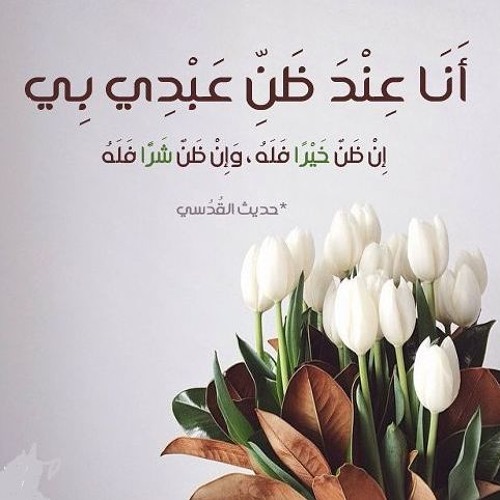 جرعة تفاؤل ) عمر ال عوضه ) Omar Al Odah