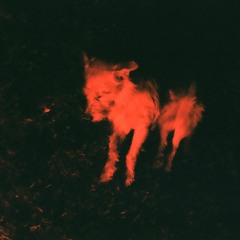 Bajo Locura // Full album on Bandcamp