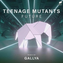 Teenage Mutants - Future (Gallya Remix) [Set About] PREVIEW