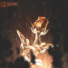 Paapi Muzik & JURGAZ - Burns Like Fire