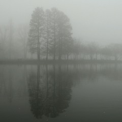 -Mist of Echoes