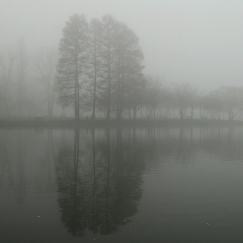 -Mist of Echoes