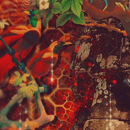 Inverse Out - Makes Sense | Return to the Source | Chapter II | Out now on BMSS Records!