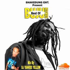 BEST-OF-BUJU-BANTON-MIX