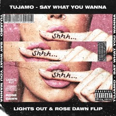 Tujamo - Say What You Wanna (Lights Out & Rose Dawn Flip)