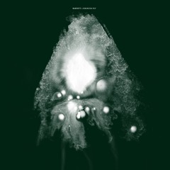 Barnett & Coloccia "Copperworks"