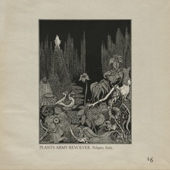 Page 26: Plants Army Revolver (Live)