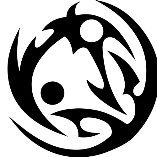 DROKZ - WE GAAN ZE KAPOT MAKEN