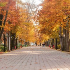 Baghe Mohtasham (Naser Vahdati) ناز نکن تی ناز قوربان