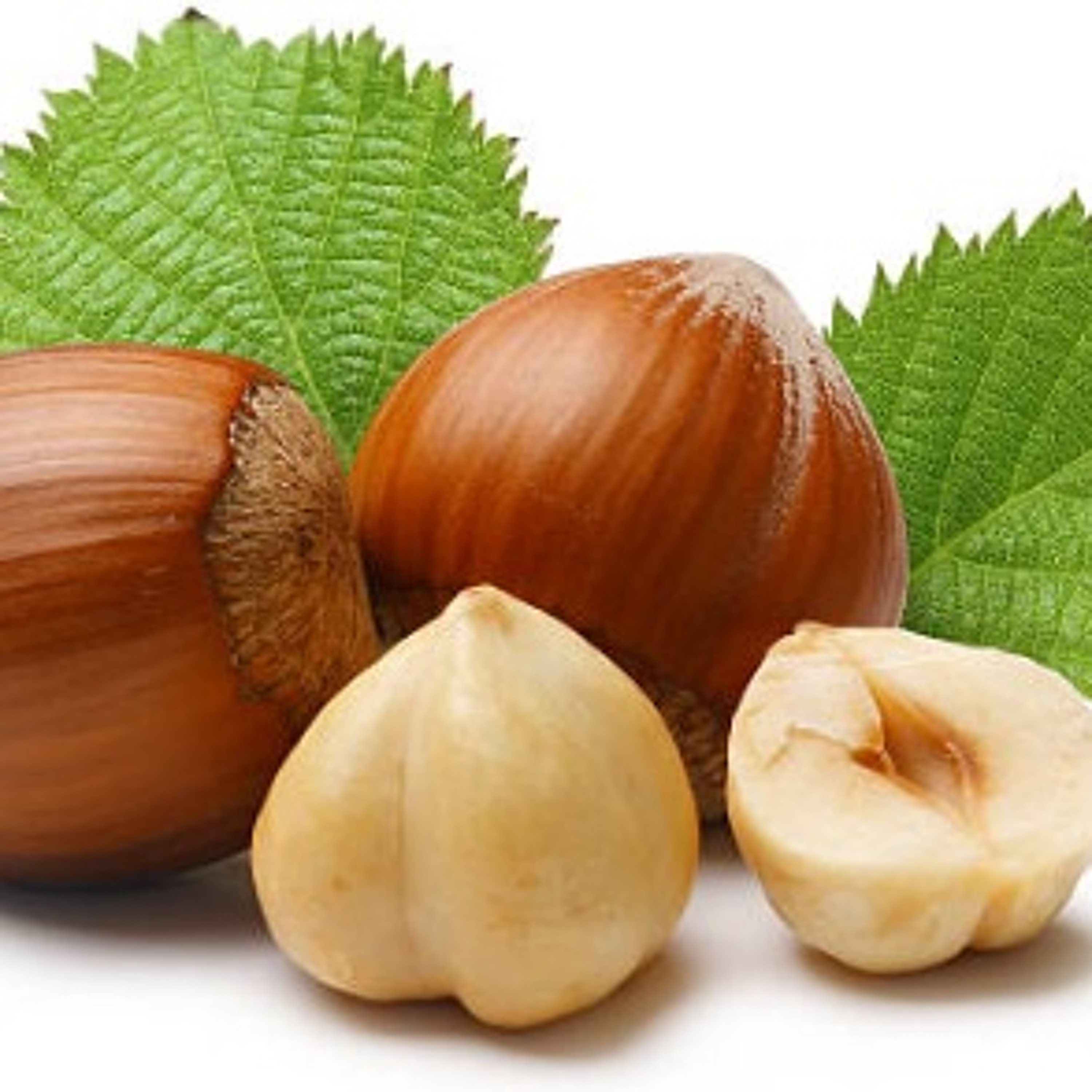 Hazel nuts episode artwork