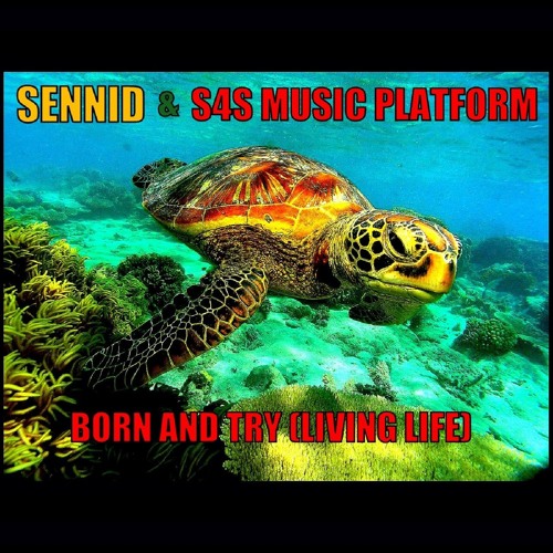 SENNID & S4S MUSIC PLATFORM - BORN AND TRY (LIVING LIFE)
