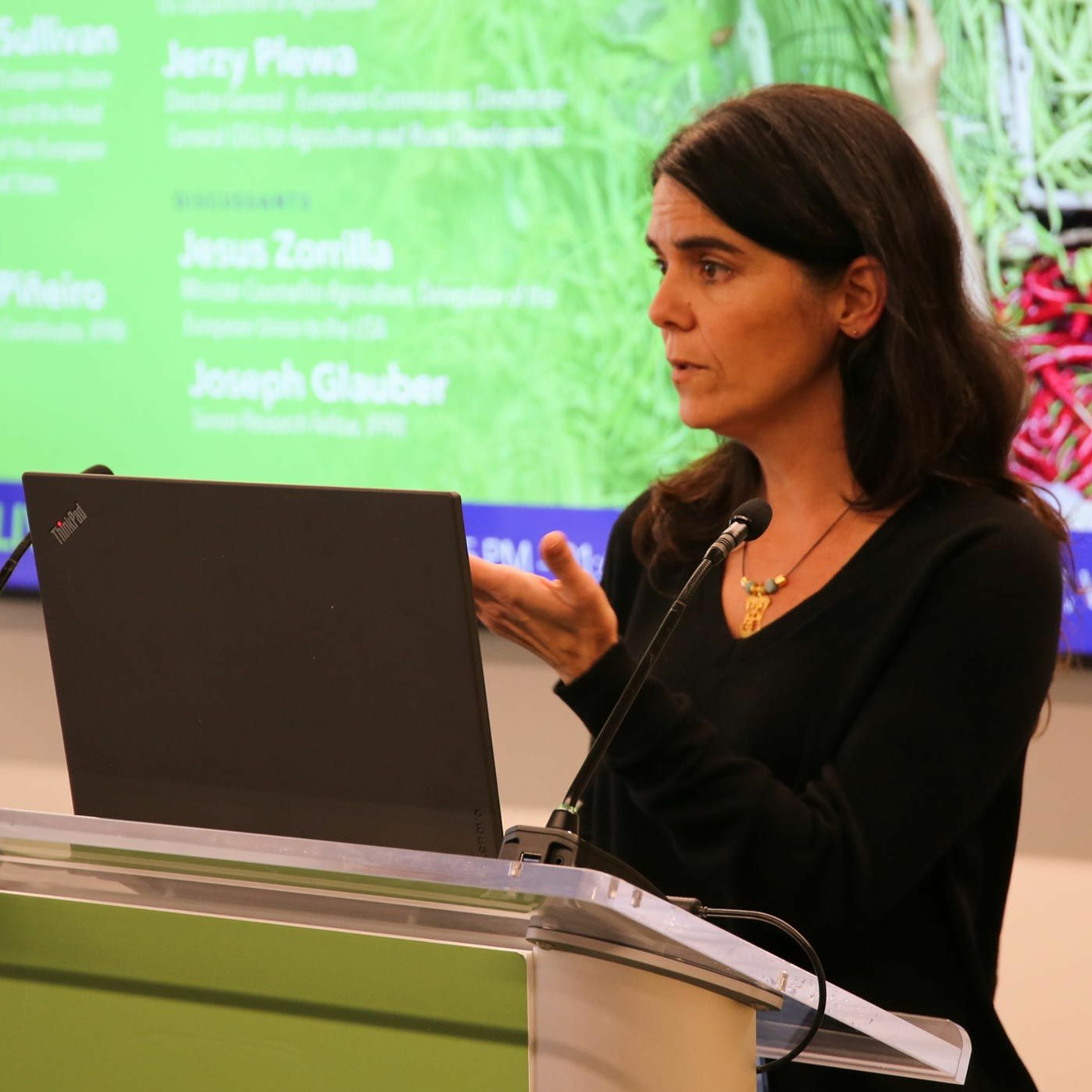 IFPRI-PolicySeminar: The Future Direction of US and EU Agricultural Policy - 12/10/2018 - VPiñeiro episode artwork
