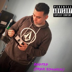 Zooted (Prod. 734Nick)