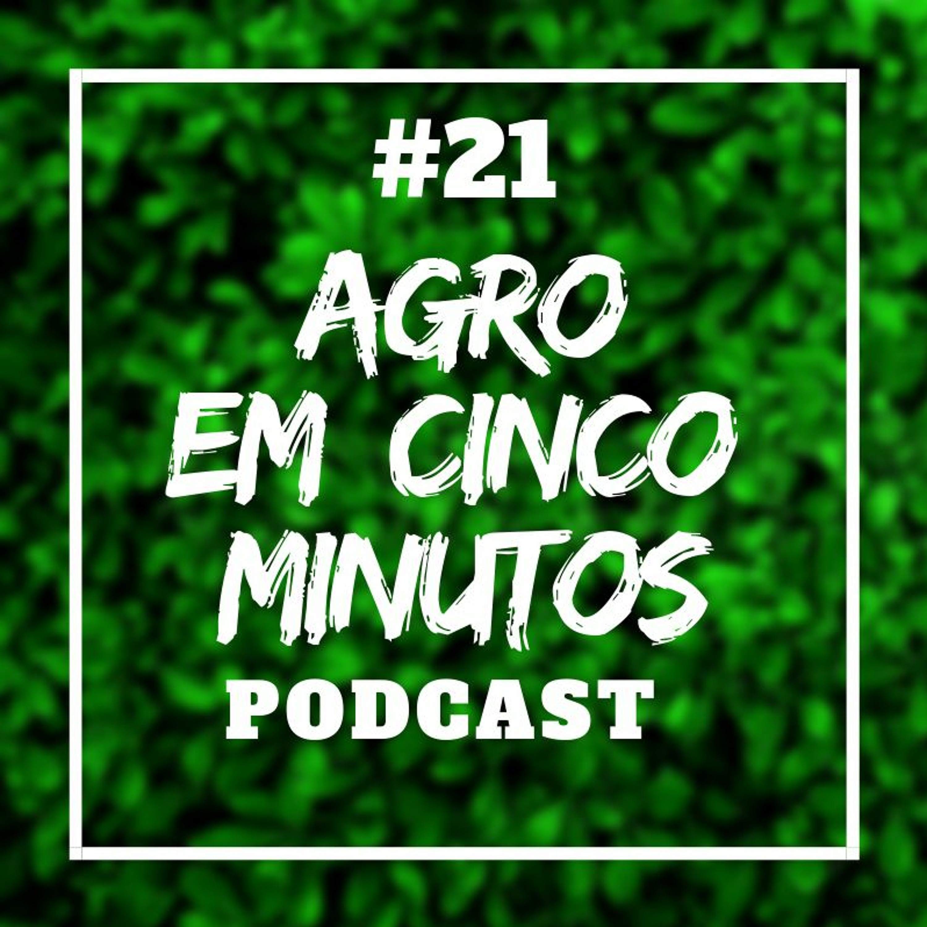 Agro em Cinco Minutos