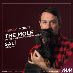 Sali // The Mole  at Minimuzikhol