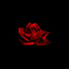See You In My Nightmares (prod. Discent)