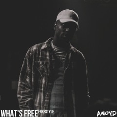 ANoyd - What's Free Freestyle