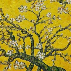 A Starosta, el Idiota - Pescado Rabioso