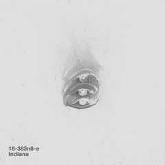 18-383n8-e