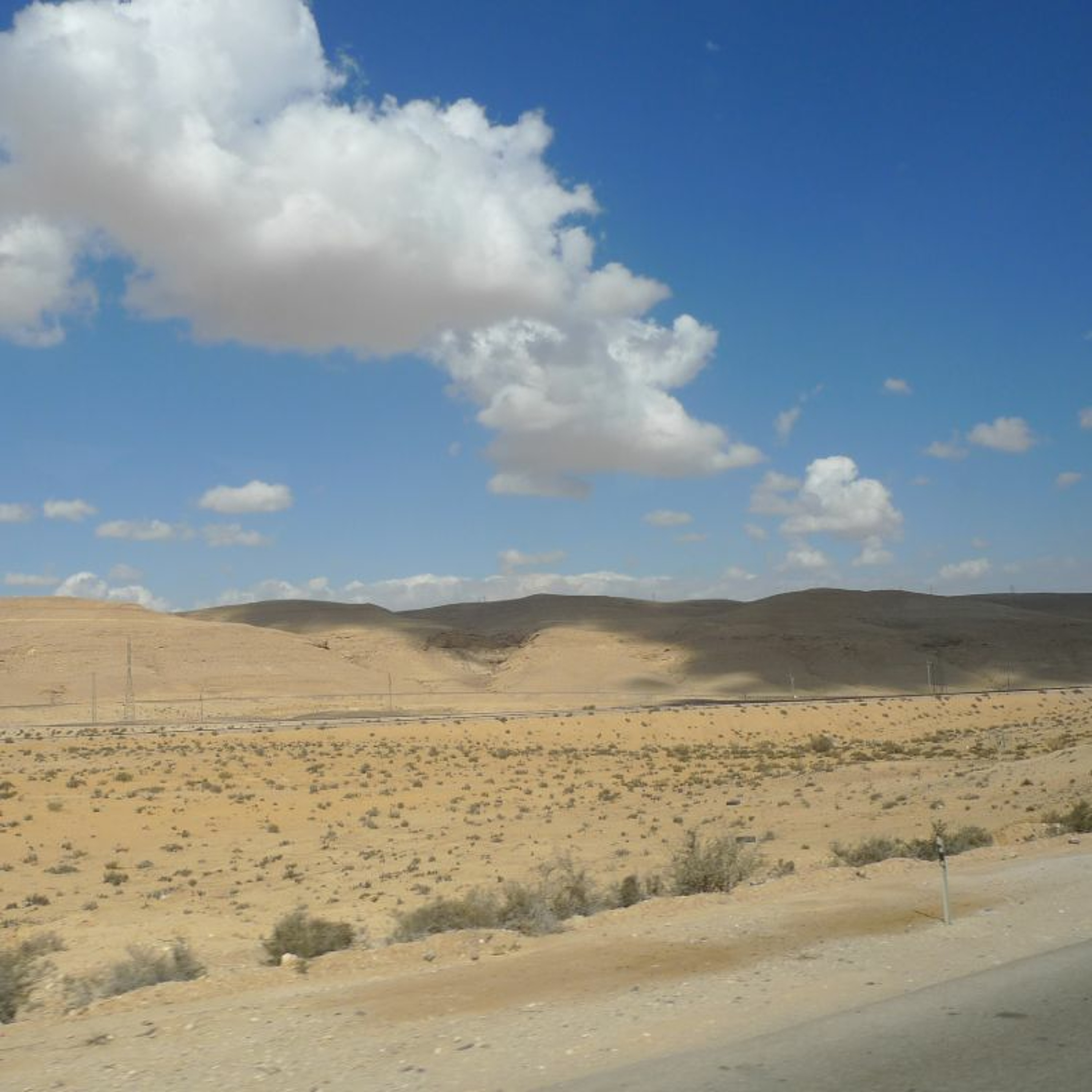 Shuaros (Talks, Classes, Shiurim)