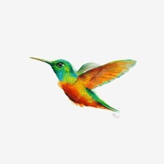 Hoje É Dia de Festa