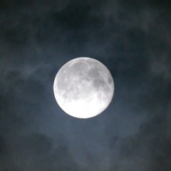 Witchy Woman (feat.) Snixx Jones