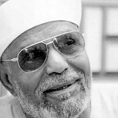 الشيخ الشعراوي_  العمل والعلم والسعي في الدنيا