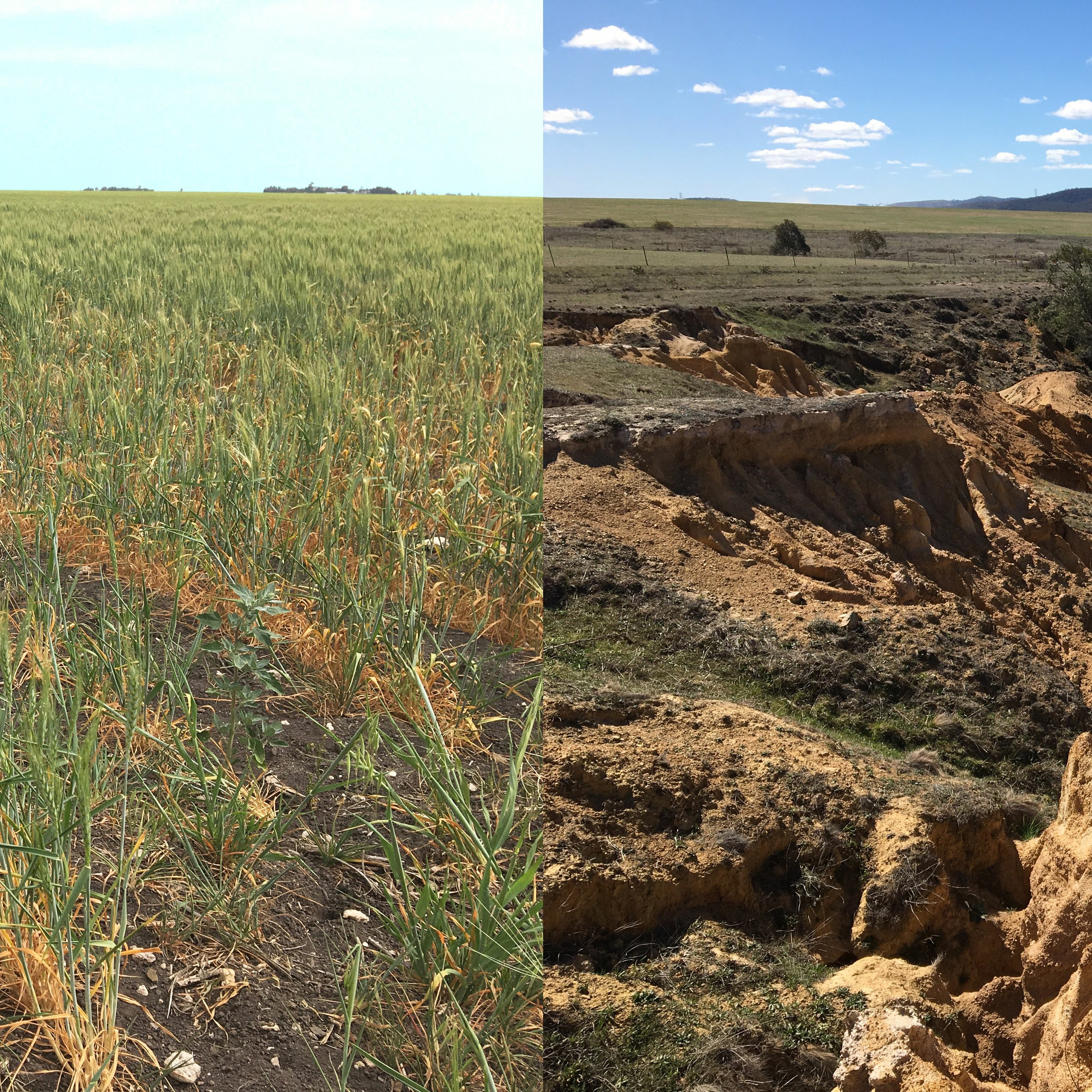 Soil security: running down a dream episode artwork
