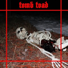 Jellystone - Tomb Toad