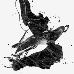 zatira project "a message to the sky" (tributeToS.05.18)