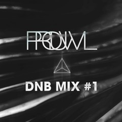 PROUWL - DNB Mix #1