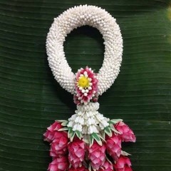 CANNI9 - อำไพ (AMPHAI) ft. RT , MIXSJAY