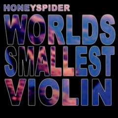 World's Smallest Violin