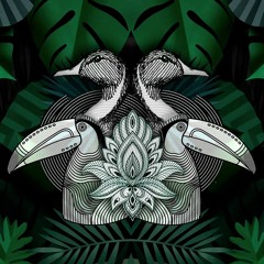 TTRadio#22.3_Quack & TTR: Meraki