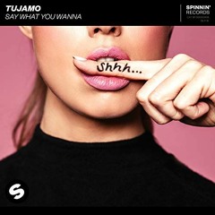 Tujamo - Say What You Wanna (Mrkz Remix)