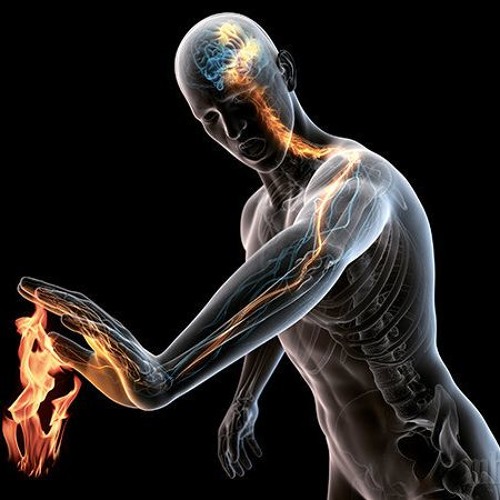 Up from the Dust (Birds of Paradise Remix)