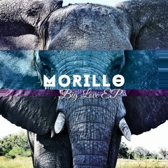 MORiLLO's Declaration Of Future Dub