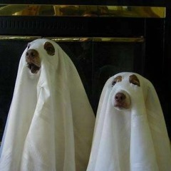 Warning: Dog ghosts ahead and the most haunted places in London!