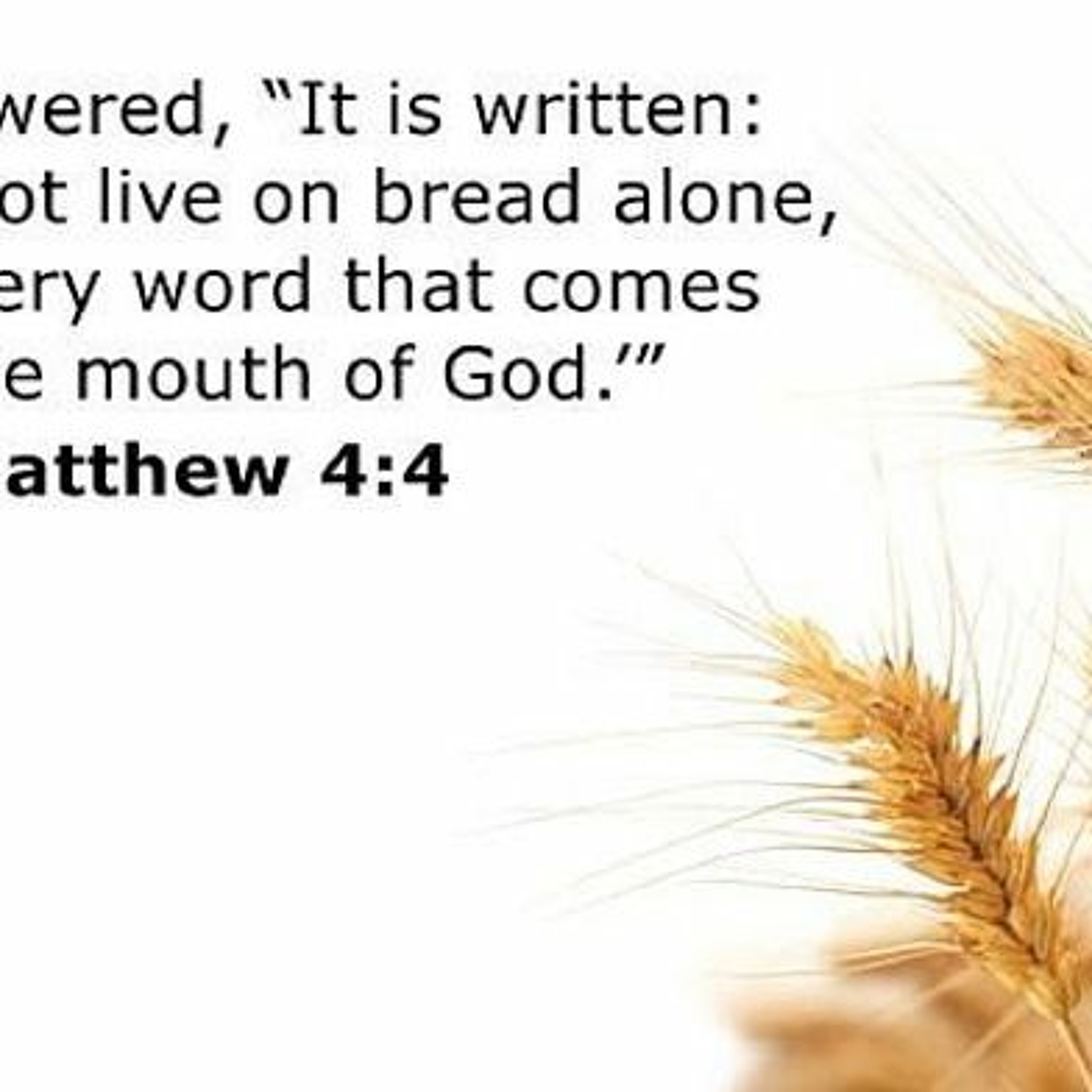 "Man Shall Not Live By Bread Alone" (12-10-18) episode artwork