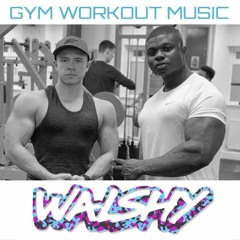 DJ Walshy - GYM Workout Mix - No. 047 (House/Bass Mix)